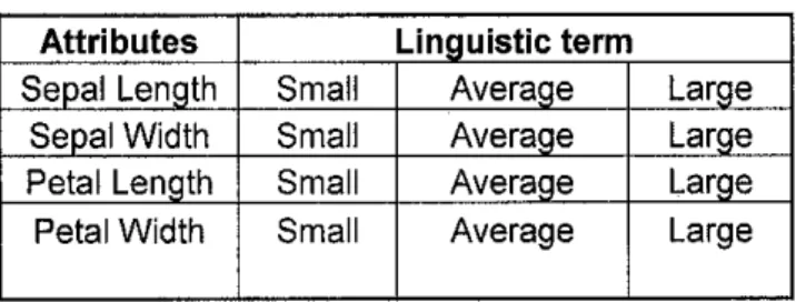 Table 3.1: Linguistic term for iris dataset