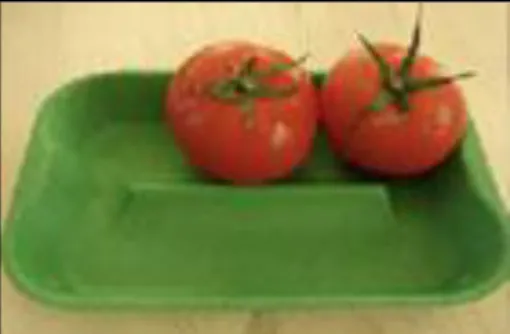 FIGURE 3: Sample of GO-GREEN Sugar Cane Tray. 