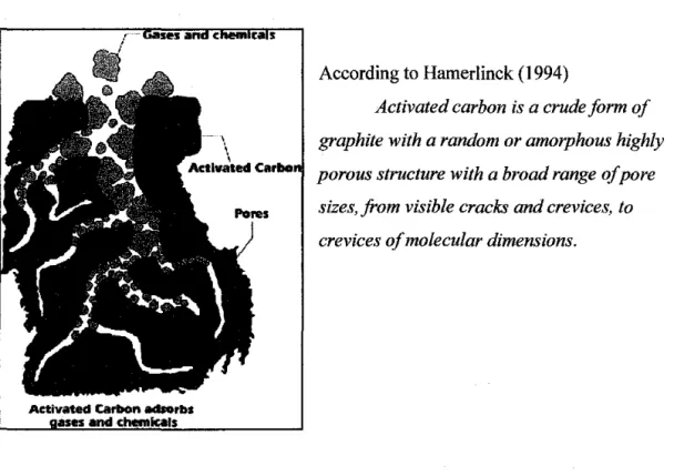 Figure  1.1:  Granular activated carbon (GAC) 