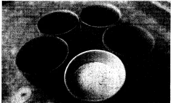 Figure 3.2: Developed adsorbents 
