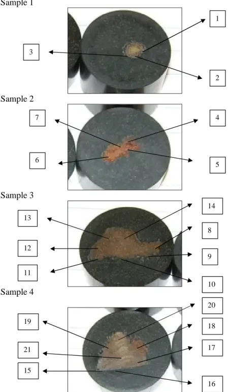 Figure 4.8: Areas of interest in the optical microscopy inspection 
