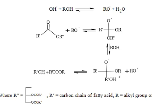 Figure 2.4 Mechanism of base-catalyze transesterification of VOs [2]. 