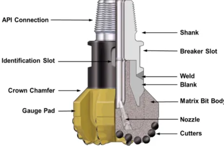 Figure 2 Component of PDC drill bits (Source from Petrowiki) 