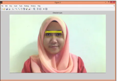 Figure 6: Eye Detection 