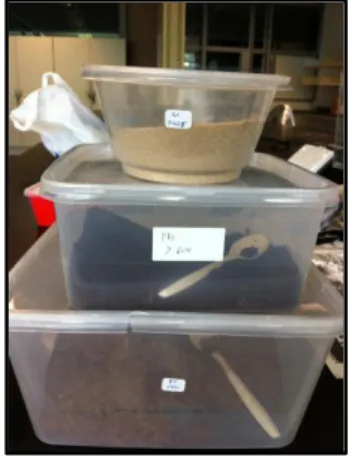 Figure 3.13: Group 1 (small  particle) materials Figure 3.12: Materials during sieving 