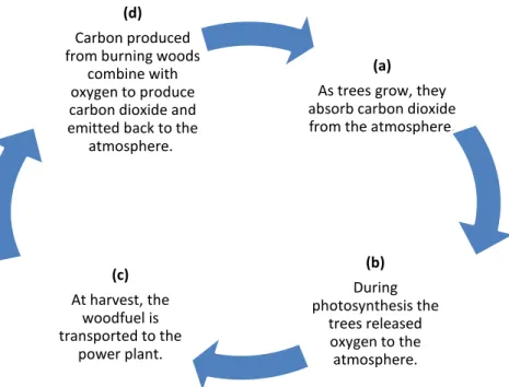 Figure 2.2: Biomass carbon cycle [2] 
