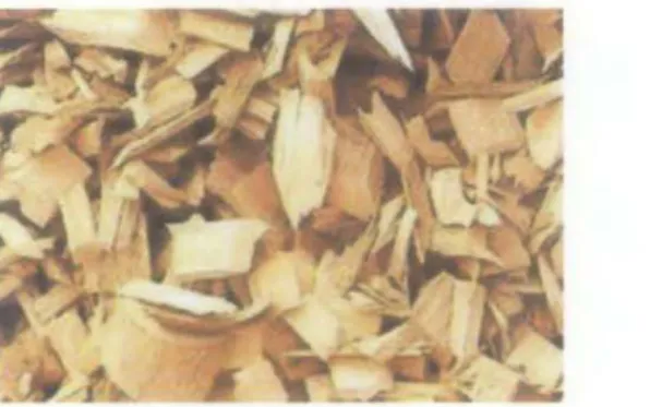 Figure 4: Sample of Eucalyptus Tree Chips used for Biomass Fuel 