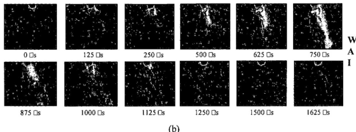 Figure 5-8 (a, b) Injection sequence at atmospheric condition for both injector spray angle