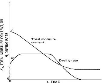 Figure 2.1 Total Moisture Content and Drying Rate versus Time (McCabe et al.,  1993) 