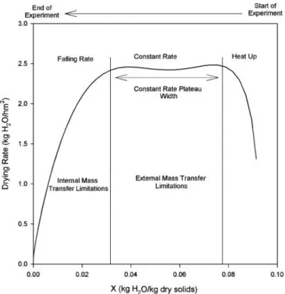 Figure 3.1 Expected Drying Curve from Moisture Analyzer 