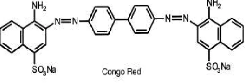 Figure 2.8 Congo Red (CR) 