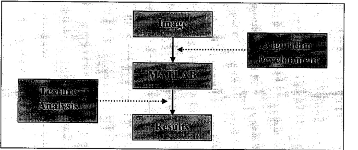 Figure 3 indicates the scope of study of the project. The main section involves four essential procedures