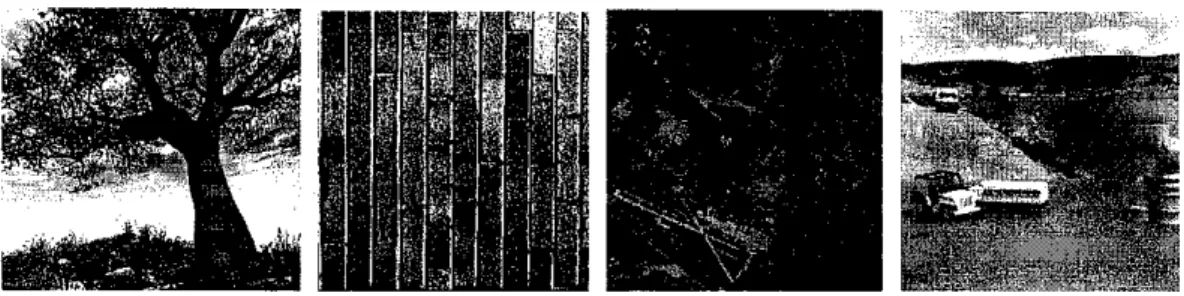 Figure 4 Illustration of various types of image textures [4]