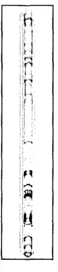 Figure 4:  Typical Monobore Big-Bore Completion [ 14 1 