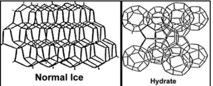Figure 1.1.1: Structure of Normal Ice and Gas Hydrate [adapted from Reinhard Hesse  (2002)] 