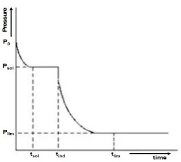 Figure 2.5.1: Schematic representation of the pressure changes with time during a typical  kinetic hydrate formation experiment [adapted from Jensen et al., 2008] 