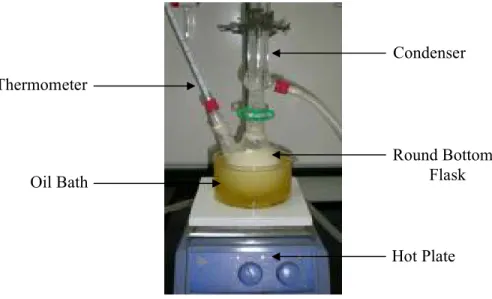 Figure 3.4 In situ transesterification processes 