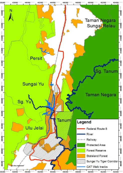 Fig.  5.  The  trails  explored  by  the  teams  of  Citizen  Action  for  Tigers  Walkers  in  the  Sungai  Yu  Tiger  Corridor in 2011.
