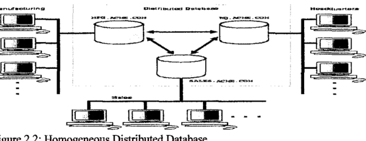 Figure 2.2: Homogeneous Distributed Database 