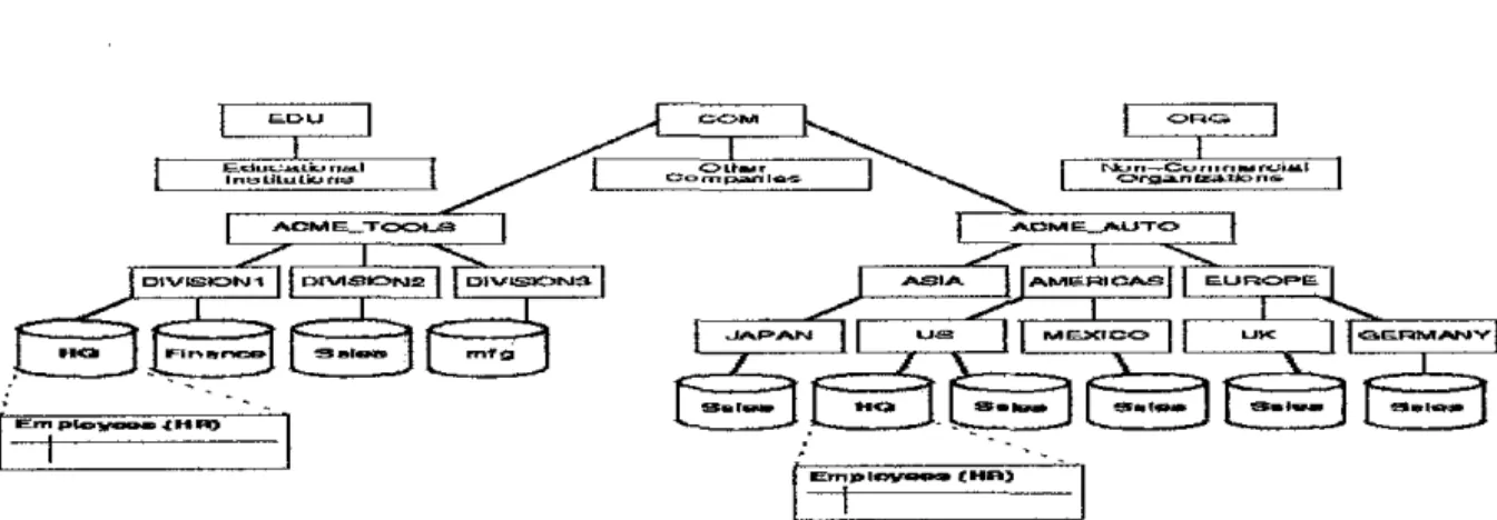 Figure 2.3: Hierarchical Arrangement of Networked Databases 