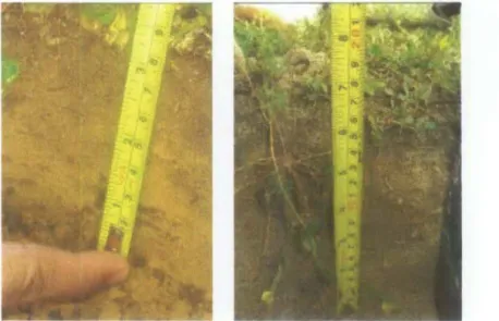 Figure 3.2: (a) 0-Scm (b) 9-16cm 