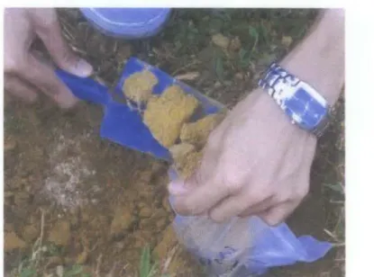 Figure  3.3: Soil Sampling 