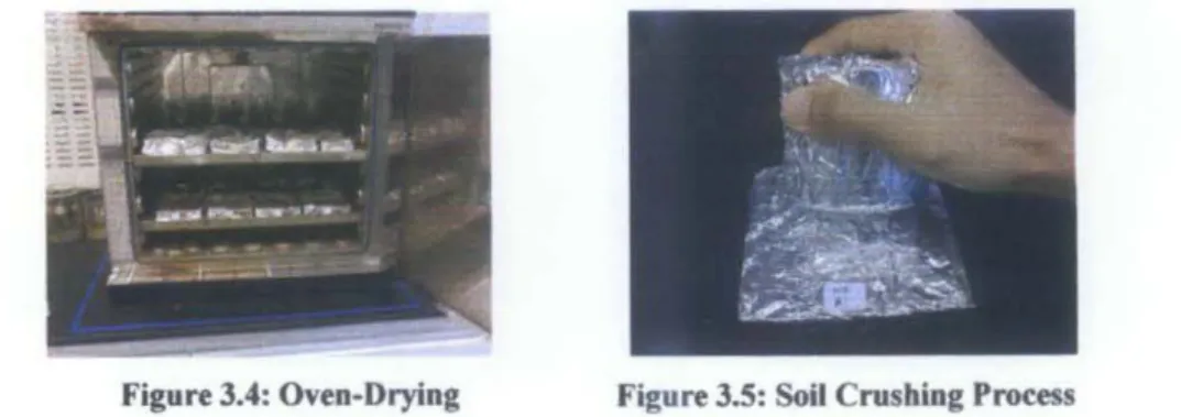 Figure 3.6: Tbe sample  covered witb a watcb glass 