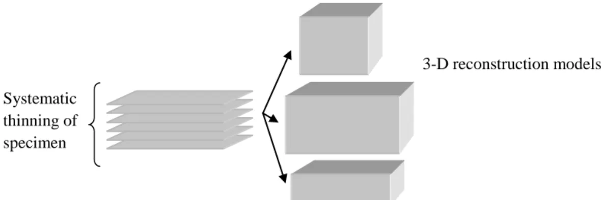 Figure 2.7: Three dimensional reconstruction can be obtained by systematic thinning  of specimen