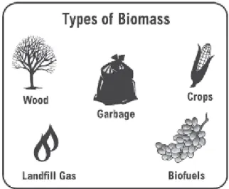 Figure 1 : Types of Biomass Sources (Biomass, 2008) 