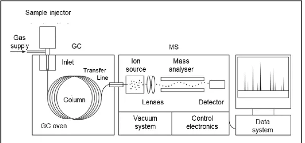 Figure  2.2      Schematic  diagram  of  GC-MS  system.    [Adapted  from  Sutherland  (2018)]