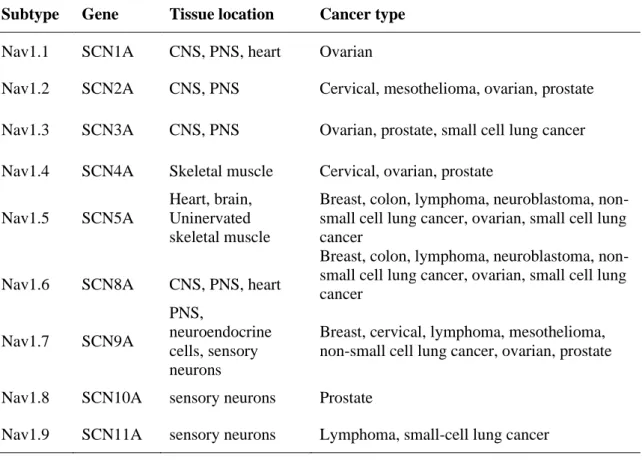 Table 1.1  Tissue  and  cancer  expression  of  VGSCs  (Patel  and  Brackenbury  2015) 