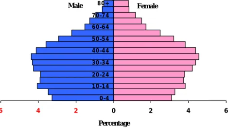 Figure 1 Population Pyramid of Thailand, 2007  