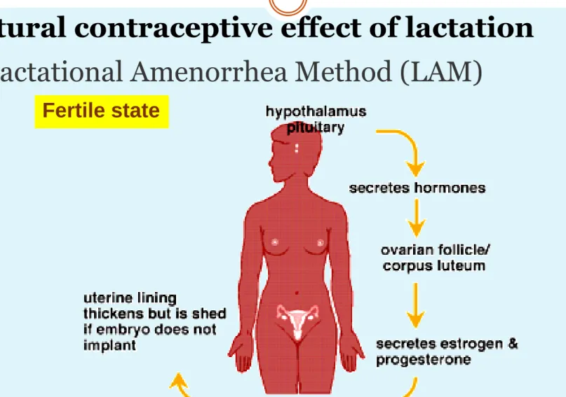 Illustration from: https://www.fhi360.org/sites/default/files/webpages/Modules/LAM/goals.htm    