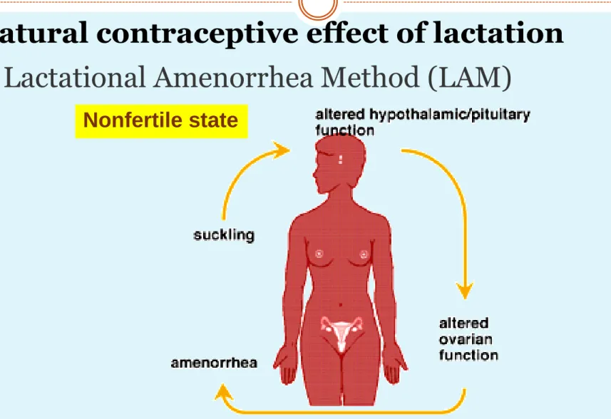 Illustration from: https://www.fhi360.org/sites/default/files/webpages/Modules/LAM/goals.htm    