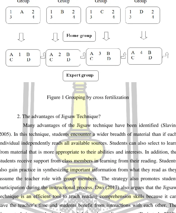 Figure 1 Grouping by cross fertilization 
