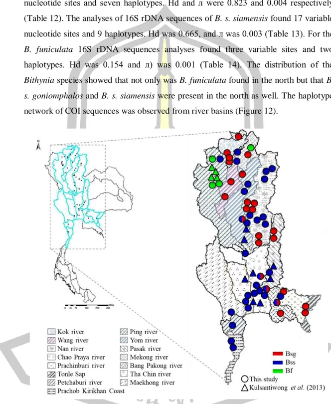 Figure 12 Map distribution of Bithynia species. 