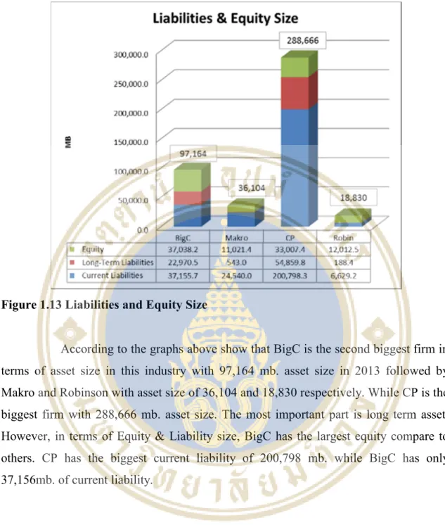 Figure 1.13 Liabilities and Equity Size