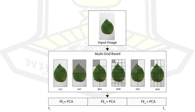 Figure 9 Proposed plant leaf recognition method. 