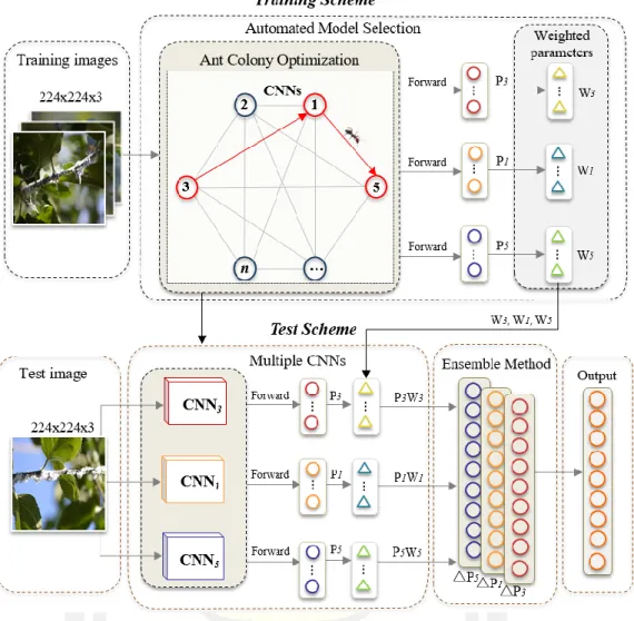 Figure 18 Illustration of the ensemble CNNs based on the automatic model selection  by the proposed ACO algorithm
