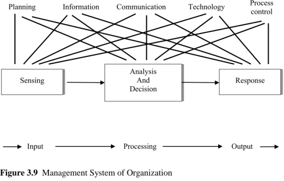 Figure 3.9  Management System of Organization  Source:  Potocki and Brocato, 1995. 