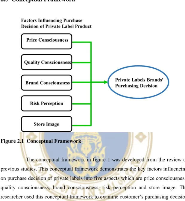 Figure 2.1  Conceptual Framework 