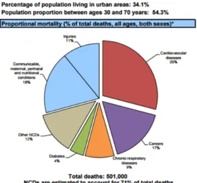 Figure 1.1  Non-Communicable Diseases (NCD) of Thailand 2014  Source: WHO (2015) 