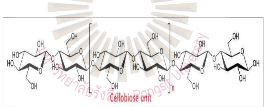 Figure 2.2 Structure of cellulose  Source: Lynd et al., 2002 