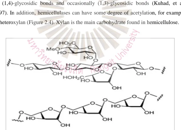 Figure 2.4 Structure of hemicellulose  Source: Kuhad et al., 1997 