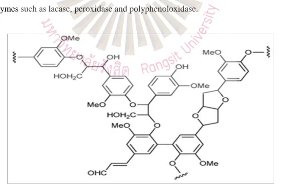 Figure 2.5 Structure of lignin  Source: Perez et al., 2002 