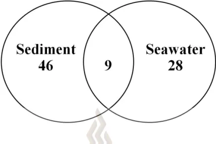 Figure 4.3 Distribution of fungi in two different samples. Numbers within each circle  indicate the number of fungal strains found at each samples
