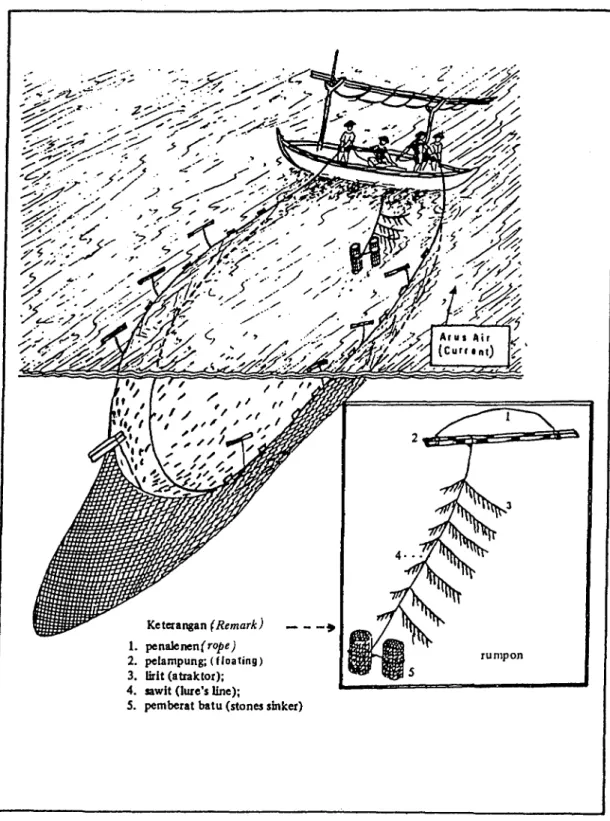 Fig.  5.  One of the types of payang by using stationary lure  (Subani and Baru s,  1989)