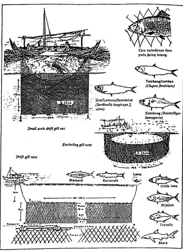 Fig.  7.  Three types o f gill net  (Subani an d  Barus,  1989)