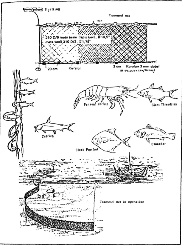 Fig.  8.  Trammel net commonly used in Indonesia (Subani and Barus,  1989)