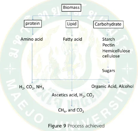 Figure 9 Process achieved  Hydrolysis:  